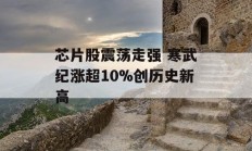 芯片股震荡走强 寒武纪涨超10%创历史新高